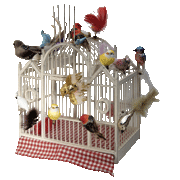 Cage à oiseaux